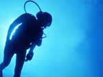 Scuba Diving presentation photo