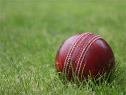 Cricket Photo Image