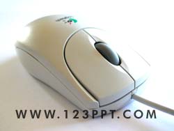 Wheel Mouse Side Photo Image