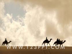 Camel Caravan Photo Image