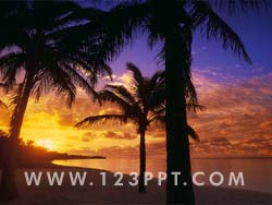 Tropical Island Photo Image