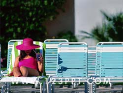 Sunbathing by the Pool Photo Image