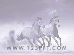 Wild Horses powerpoint background