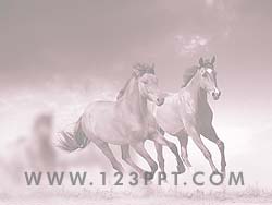 Wild Horses powerpoint background