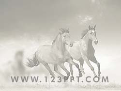 Wild Horses powerpoint background
