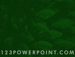 School of Fish powerpoint background