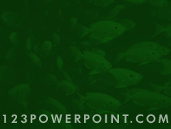 School of Fish powerpoint background