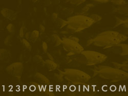 School of Fish powerpoint background