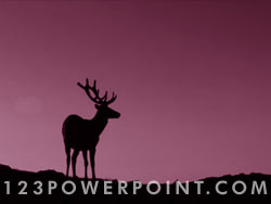 Elk powerpoint background