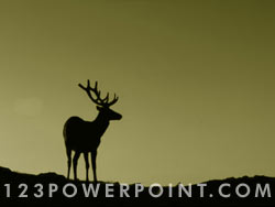 Elk powerpoint background