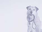 Dog with Leash PowerPoint Background