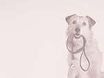 Dog with Leash PowerPoint Background