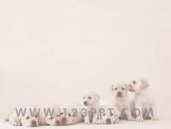 Puppy Dogs powerpoint background