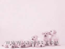 Puppy Dogs powerpoint background