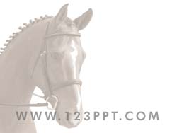 Horse powerpoint background