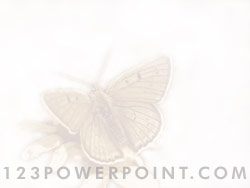 Butterfly powerpoint background