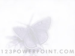 Butterfly powerpoint background