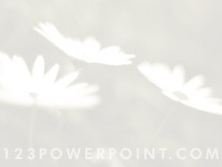 Flowers powerpoint background