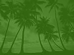 Palm Trees PowerPoint Background