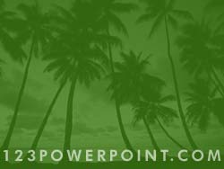 Palm Trees powerpoint background