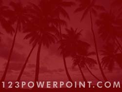 Palm Trees powerpoint background