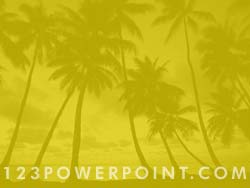 Palm Trees powerpoint background
