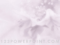 Orchids powerpoint background