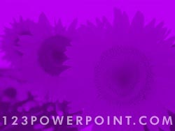 Sunflower Field powerpoint background