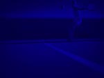 Tennis Return Serve PowerPoint Background