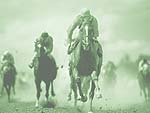 Horse Racing PowerPoint Background