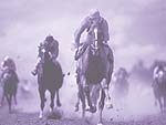 Horse Racing PowerPoint Background