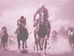 Horse Racing PowerPoint Background