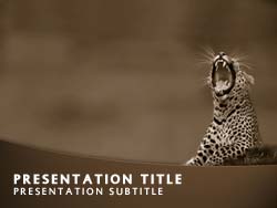 Wild Cats Conservation Title Master slide design