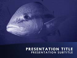 Big Fish Title Master slide design