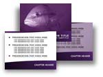 Big Fish PowerPoint Template