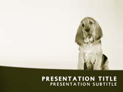 Hound Dog Title Master slide design