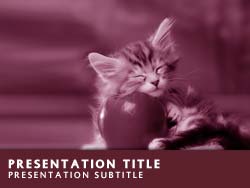 Kitten Title Master slide design
