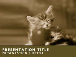 Kitten Title Master slide design