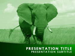 Elephant Title Master slide design