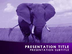 Elephant Title Master slide design