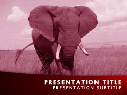 Elephant Title Master slide design