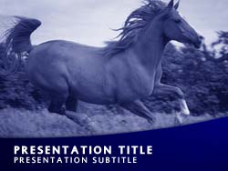 Horse Title Master slide design