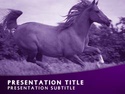 Horse Title Master slide design