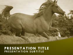 Horse Title Master slide design