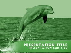 Dolphin Title Master slide design