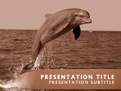 Dolphin Title Master slide design