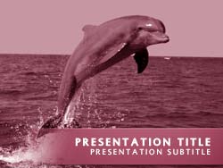 Dolphin Title Master slide design