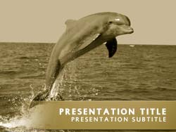 Dolphin Title Master slide design