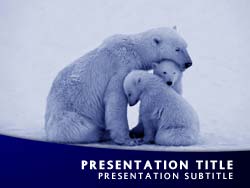 Polar Bear and Cubs Title Master slide design