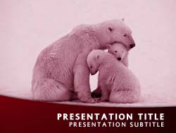 Polar Bear and Cubs Title Master slide design